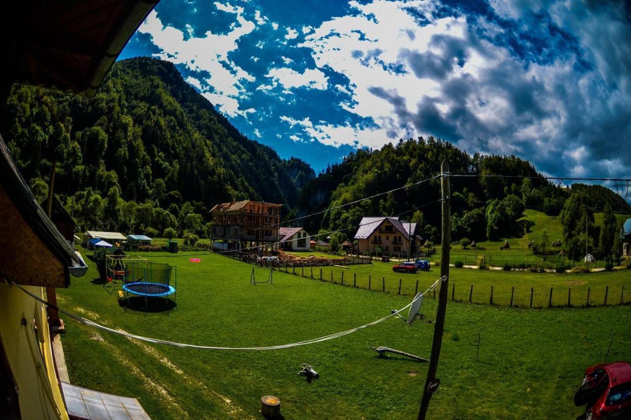 Casa Petruta Dambovicioara Hotell Podu Dimbovitei Exteriör bild