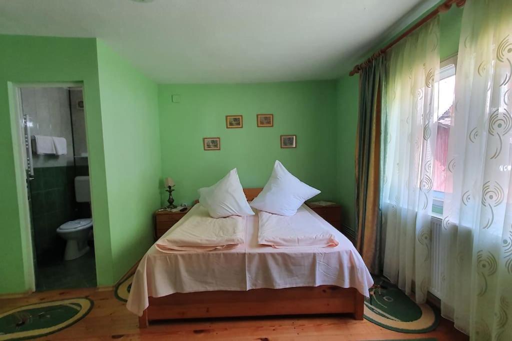 Casa Petruta Dambovicioara Hotell Podu Dimbovitei Exteriör bild