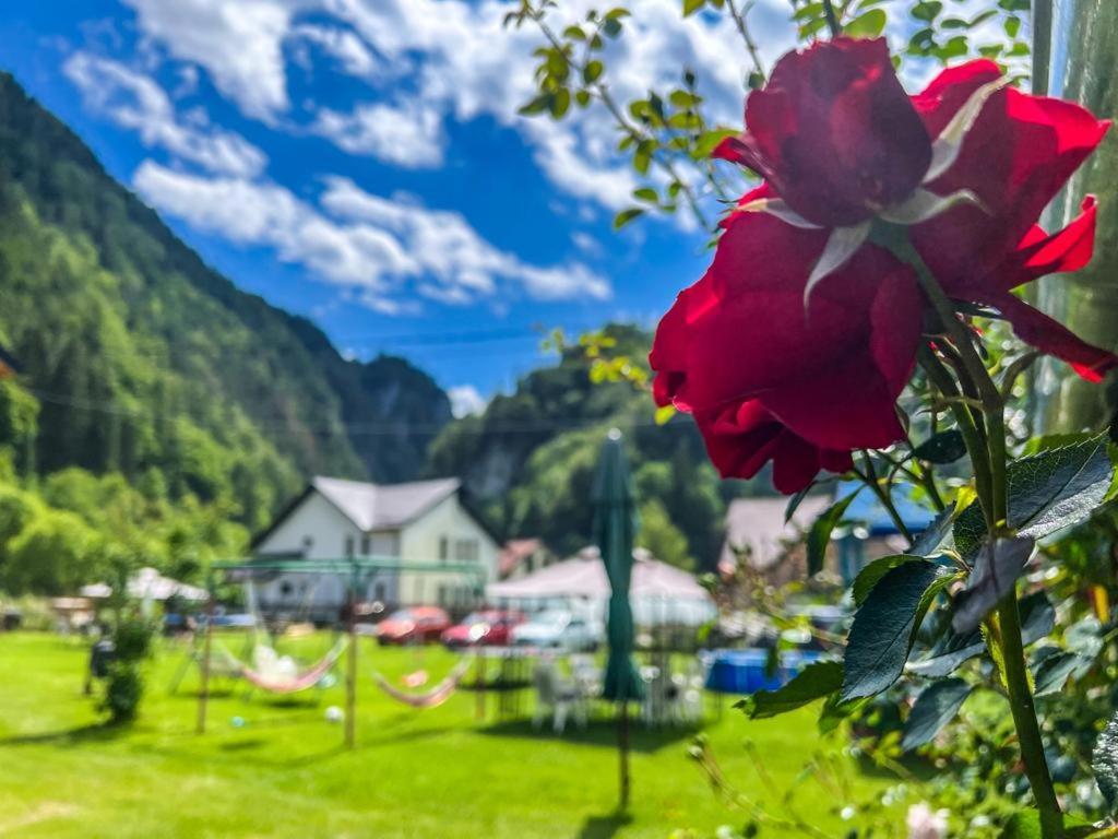 Casa Petruta Dambovicioara Hotell Podu Dimbovitei Exteriör bild