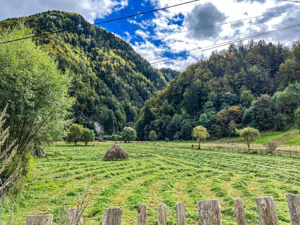 Casa Petruta Dambovicioara Hotell Podu Dimbovitei Exteriör bild