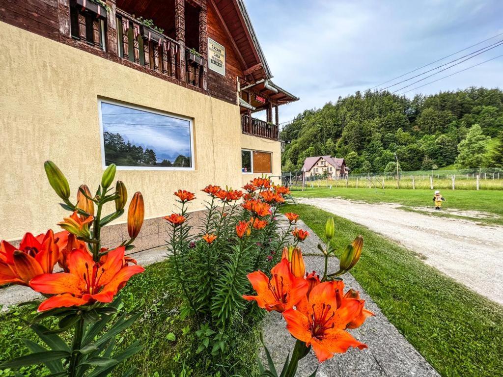 Casa Petruta Dambovicioara Hotell Podu Dimbovitei Exteriör bild