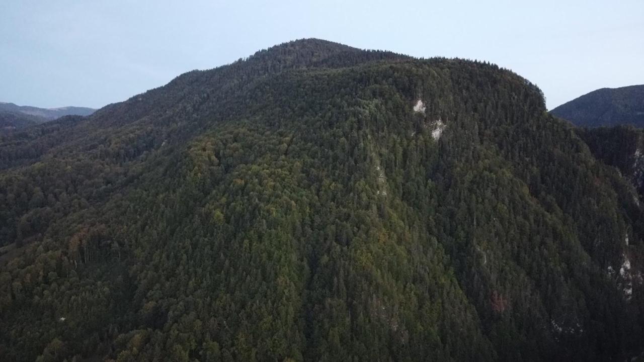 Casa Petruta Dambovicioara Hotell Podu Dimbovitei Exteriör bild