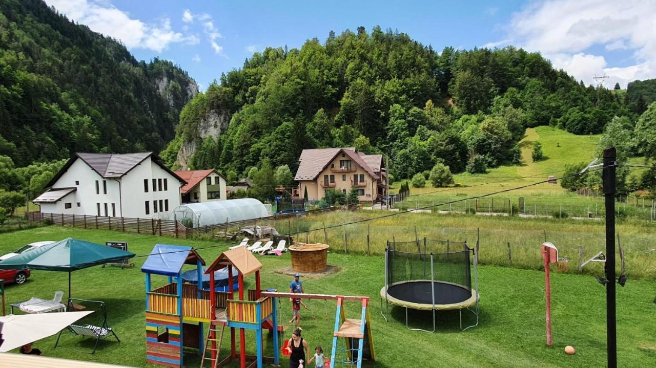 Casa Petruta Dambovicioara Hotell Podu Dimbovitei Exteriör bild