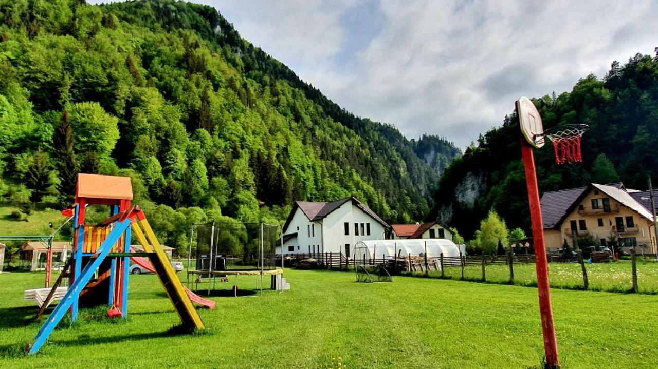 Casa Petruta Dambovicioara Hotell Podu Dimbovitei Exteriör bild