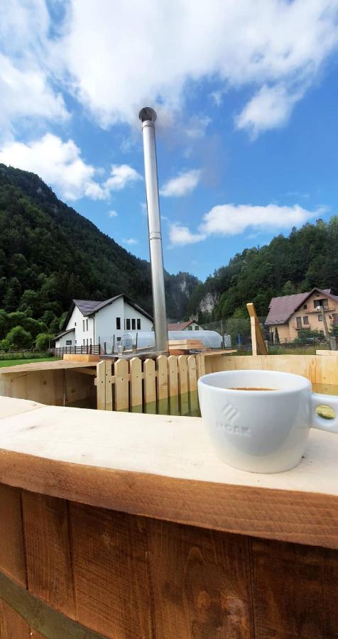 Casa Petruta Dambovicioara Hotell Podu Dimbovitei Exteriör bild