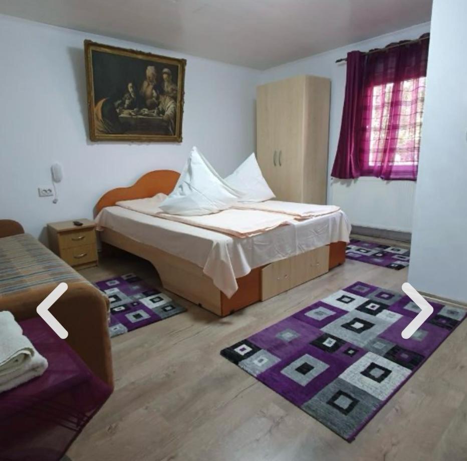 Casa Petruta Dambovicioara Hotell Podu Dimbovitei Exteriör bild